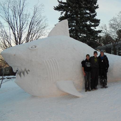 AustinDBartz's profile picture. Snow Sculptor