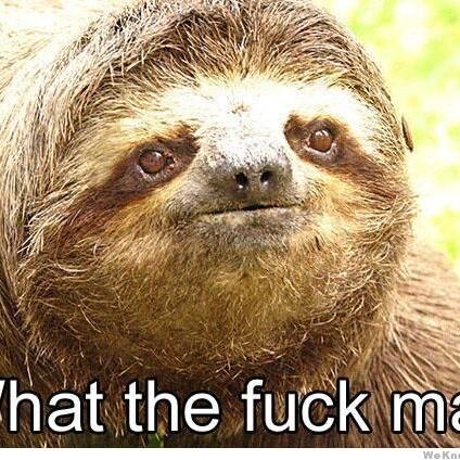 ERMMGWaffles's profile picture. My computer is my life.