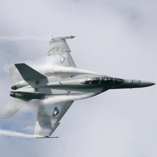 Hornetusaf's profile picture. 