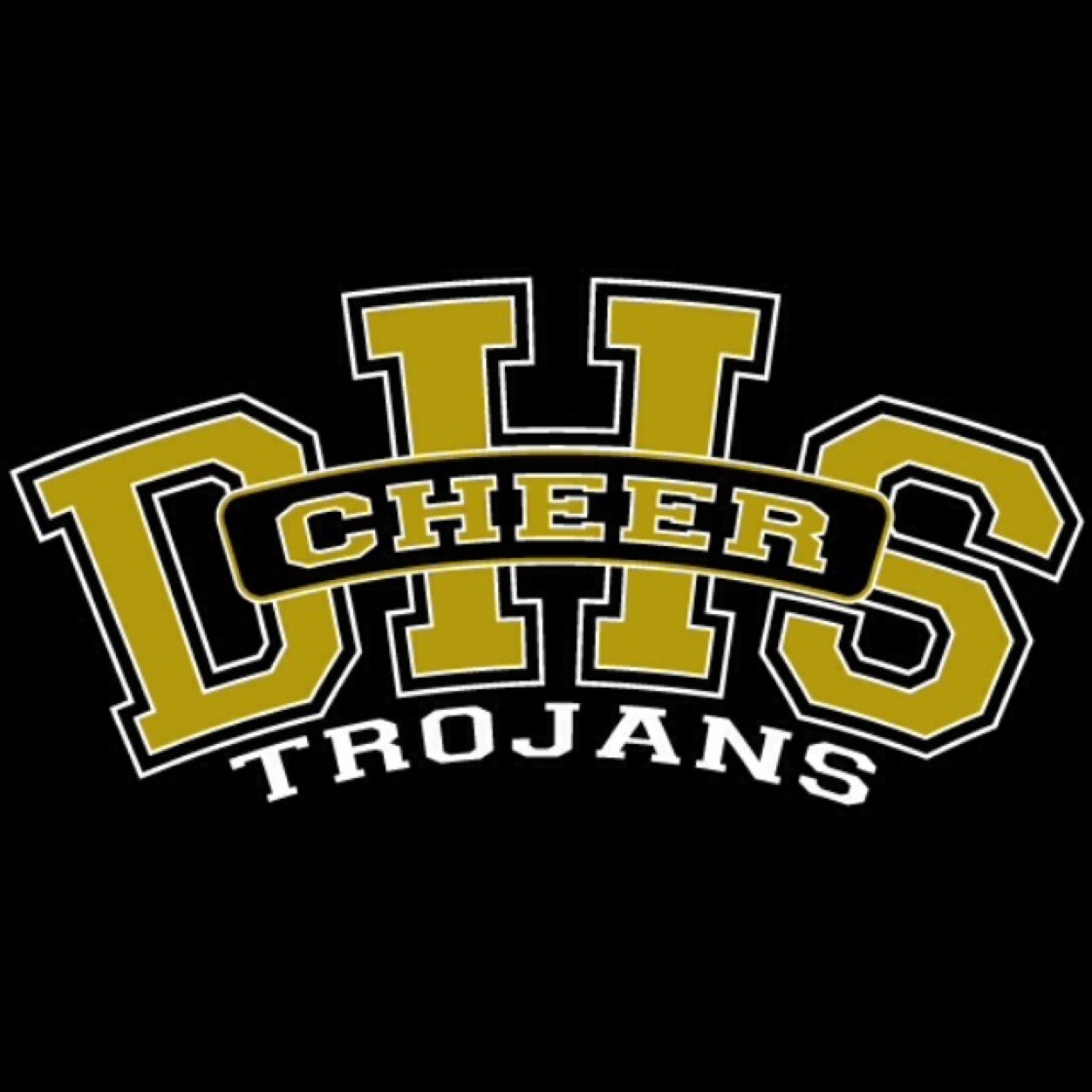 DHSCheer1's profile picture. Dyersburg High School Cheer Team