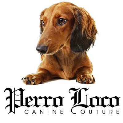 PerroLocoLondon's profile picture. Perro Loco London Premier Canine Couture. Treat Your Dog To The Best