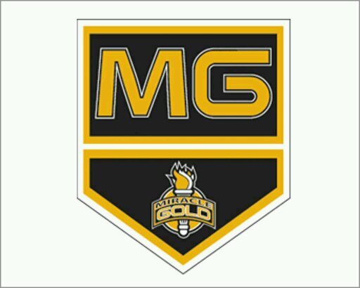 Miracle Gold AAA Hockey Program. Elite level training for elite level hockey players.