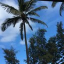 Rex Lowther - @RexLowther - Twitter