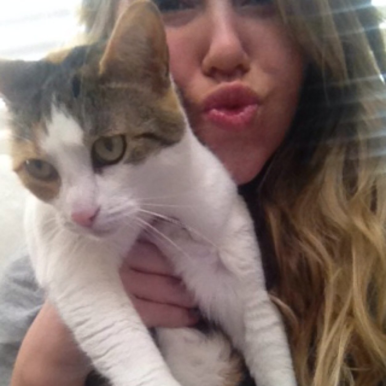 emily_feeney's profile picture. 