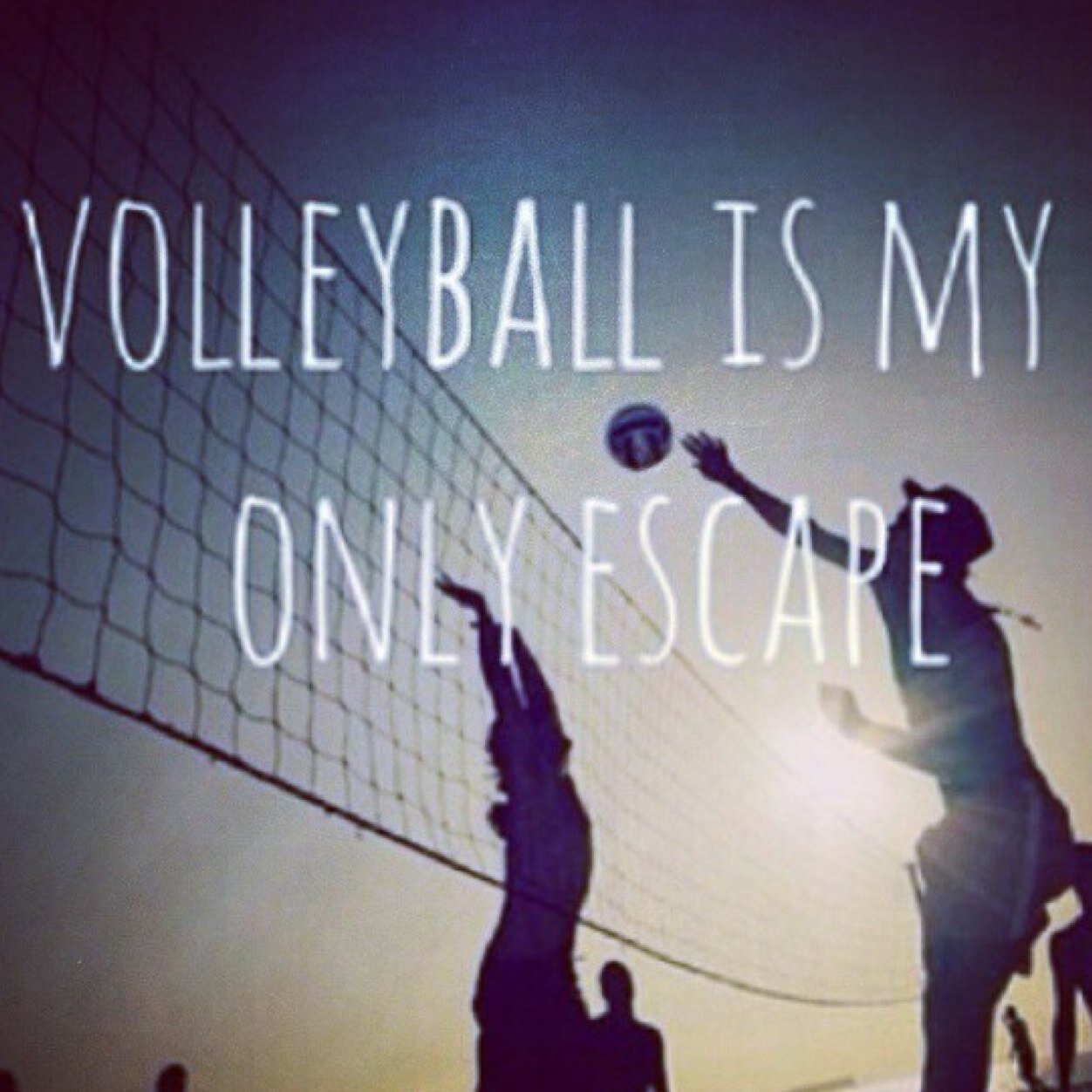 volleyball volleyball volleyball volleyball volleyball volleyball volleyball volleyball volleyball volleyball