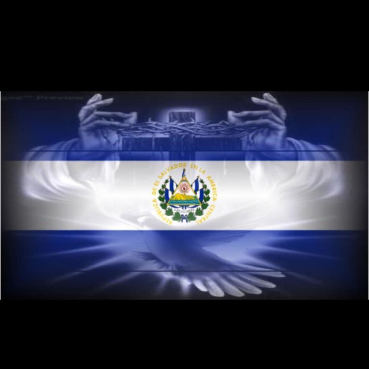 michaelquinta's profile picture. Hi my name is michael