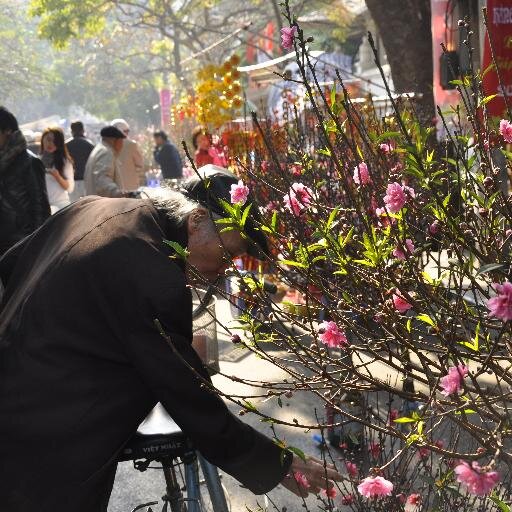 Hanoi, Vietnamese, https://t.co/9NbUBnCPaq