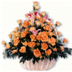 35kimsh's profile picture. 