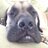 BennyG22's profile image