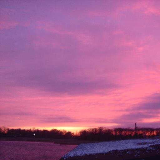 matthewmurray1's profile picture. 