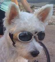 Marketing professional who enjoys travel, fine dining, movies, volunteering and bicycling.