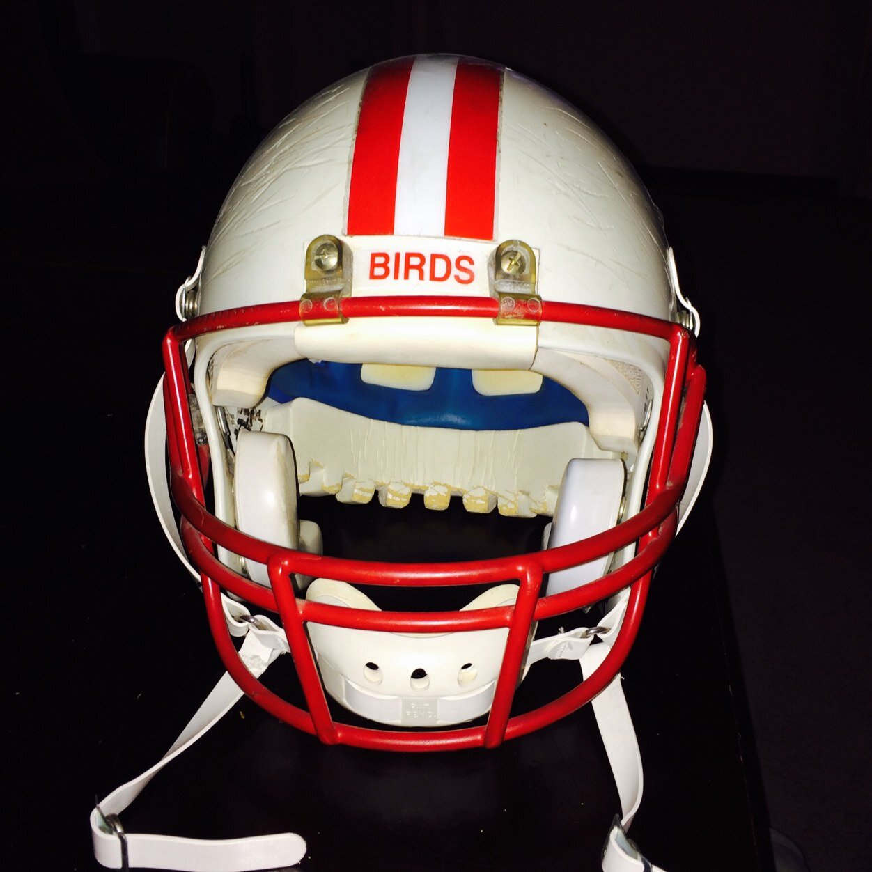 Go you Redbirds on to battle...