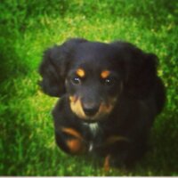 BobbeFrederick (@uncorkyourvino) 's Twitter Profile