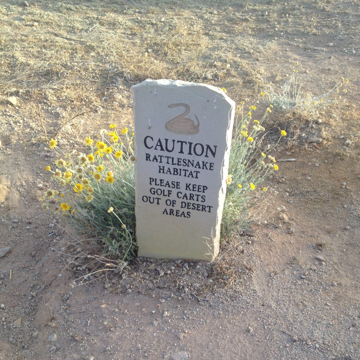 flipperfu's profile picture. 