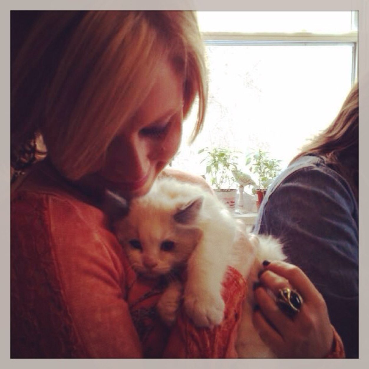 Warning: i talk about animals and also post many pictures of them. Proceed with caution.