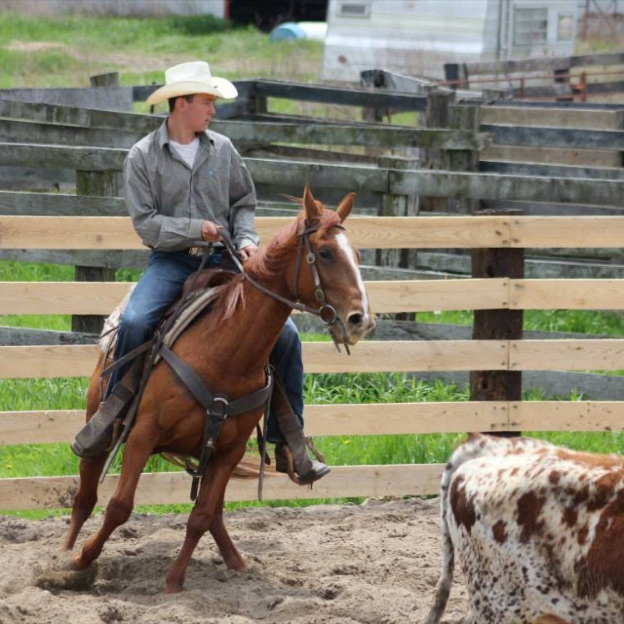 aust_tin's profile picture. 