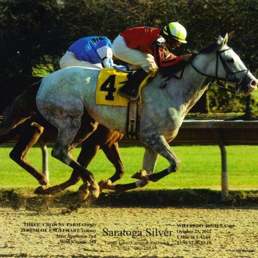 ThreeCrownsFarm's profile picture. Proud thoroughbred owners, breeders and horse lovers