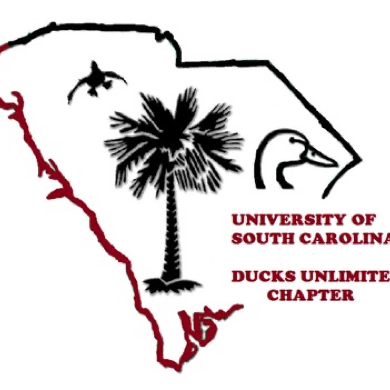 The University of South Carolina Ducks Unlimited Chapter. All of your latest news and announcements of DU at USC. Do it for the ducks!