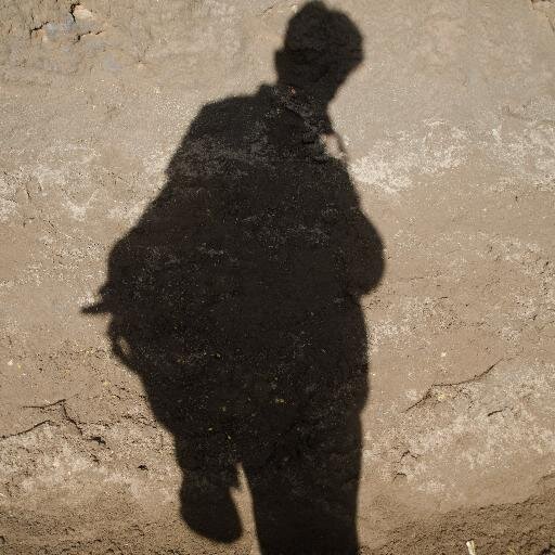 Freelance Photographer