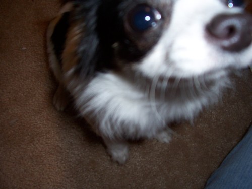 JChanhvandam's profile picture. 