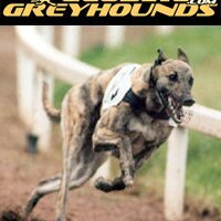 GlobalGreyhounds.com(@globalgreyhound) 's Twitter Profile Photo