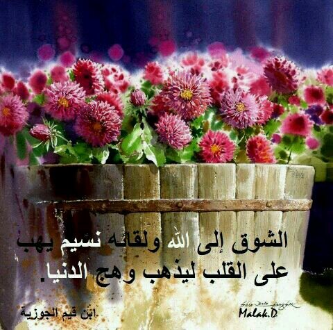 ‏وﻻ أريد سوى جنه عرضها السموات واﻷرض لي وﻷهلي وأحبتي ♡♡