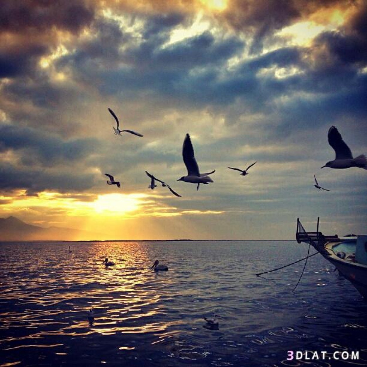 fatma_albader's profile picture. Daughter of an amazing, kind man called Abdullah Habib ALBader and so proud!