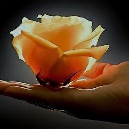 .......Hello okaa i decide to Lovvvvvve Others thru Heart