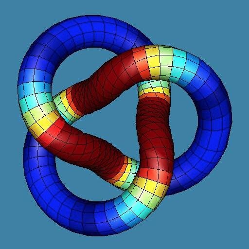 Professor of Knot Theory