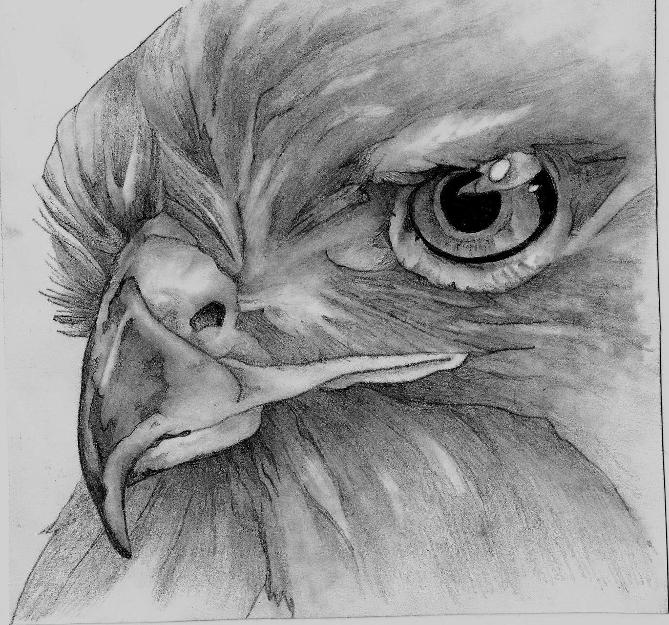 ARTIST  Look at my site  I draw graphite pencil charcoal prints.  http://t.co/3vpNS9MwEB