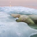 Kelsey Brandon - @glossymama - Twitter