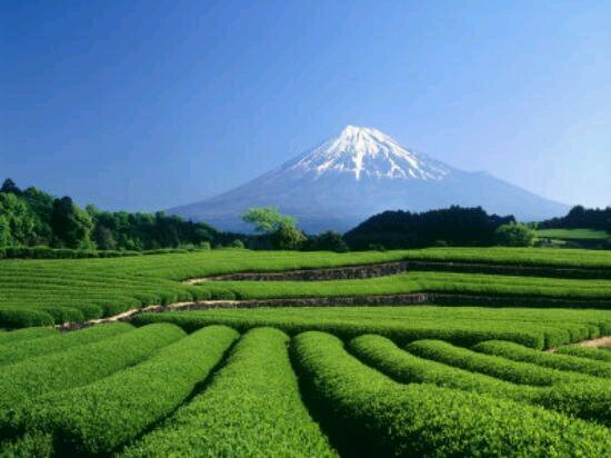 Around The World
