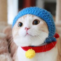 🌸Brian911🌸‎|•'-'•)و入学オメー (@iwataka_) 's Twitter Profile Photo