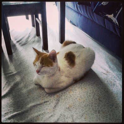 curra65's profile image