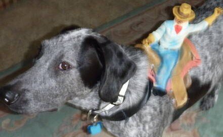 fuzzywuffy's profile picture. 