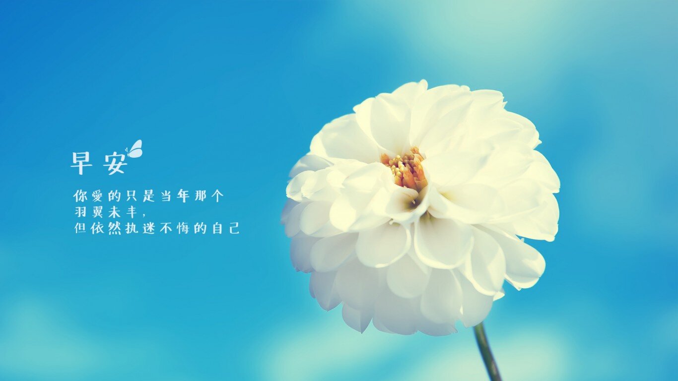 zou qi