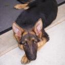 Sara Crocker - @ACHumaneSociety - Twitter