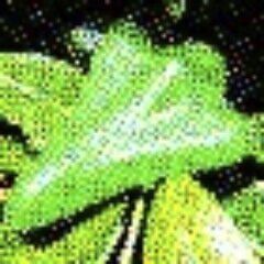 stealthbopper's profile picture. music maker