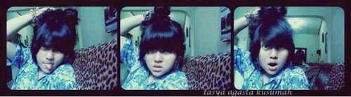 new twitter -