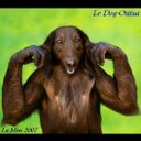 Thomas Agostini - @t0ago - Twitter