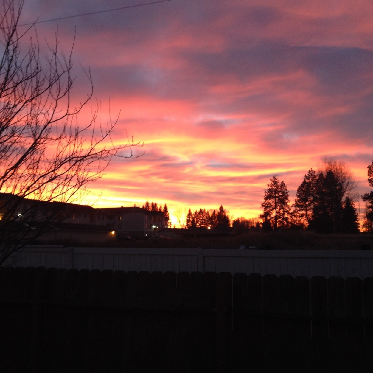 DahmiSaod's profile picture. ( لقد خلقنا الإنسان في كبد )