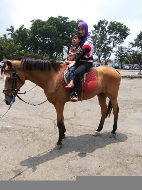 gw_zhie's profile picture. 