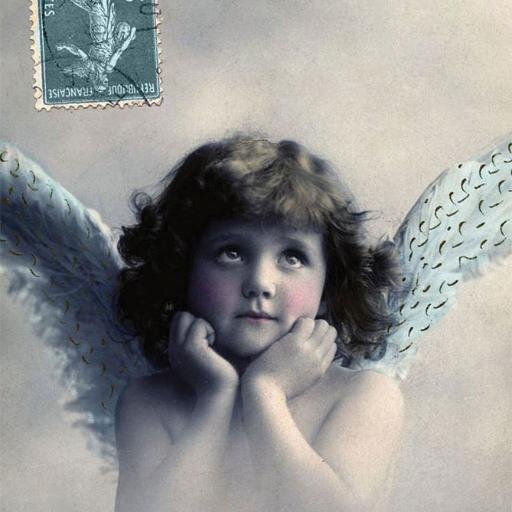 Beautiful postcards not only for Postcrossers
