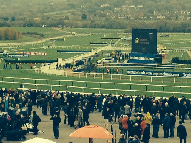 stecarden's profile picture. ladbrokes gaffer... full time claret... sports nut.