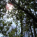 David Stange - @davidpaulstange - Twitter