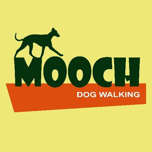 Dog Walking and pet care in Cheshire. Lover of the outdoors and all creatures great and small. Owner of Whippets Teddy and Jack