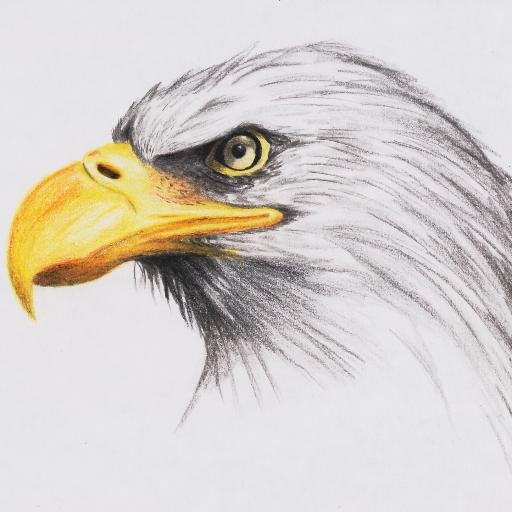 TomBarklay's profile picture. 