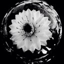 Faye Kaplan - @faye_kaplan - Twitter