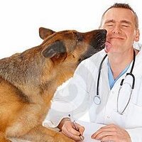 Baytar Haydar (@baytarhaydar) 's Twitter Profile