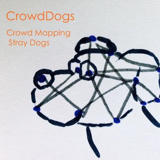 CrowdDogs's profile picture. The vision to finding a loving home for every stray dog out there. Social Media Campaign on the go.